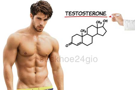 Testosterone