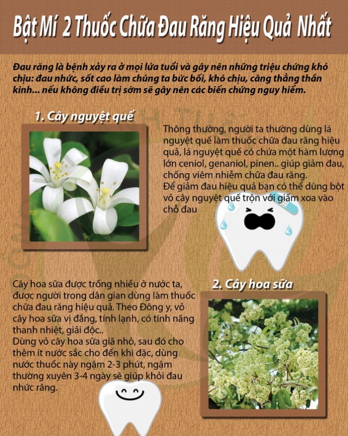 thuoc chua dau rang