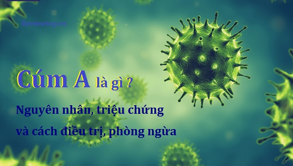 cum-a-la-gi-cum-a-co-nguy-hiem-khong-1