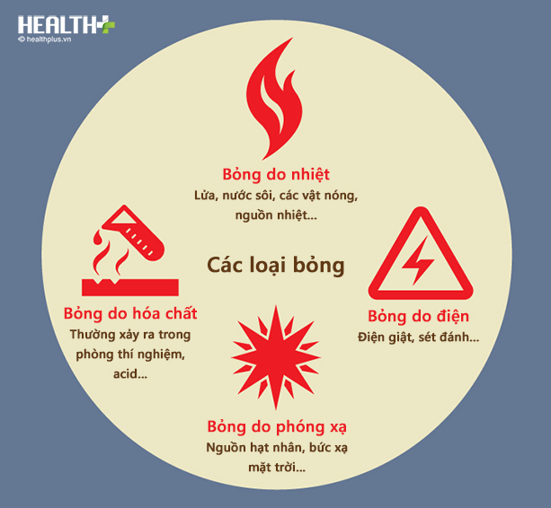 cac loai bong